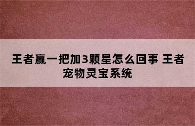 王者赢一把加3颗星怎么回事 王者宠物灵宝系统